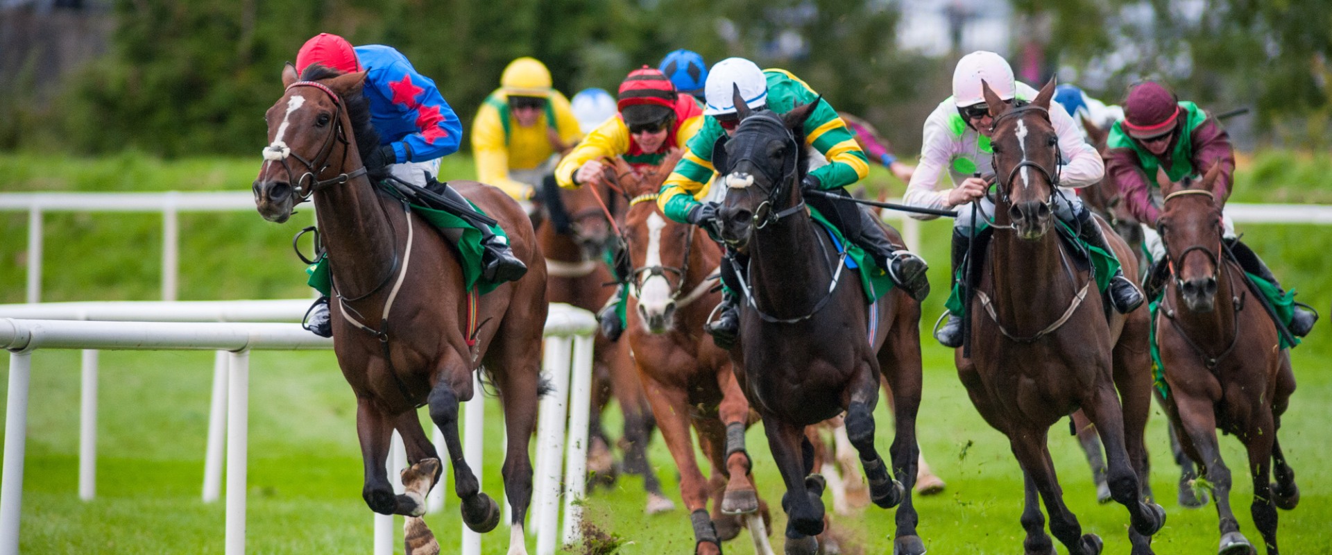 Analyzing Race Results: Insights and Strategies for UK Horse Racing