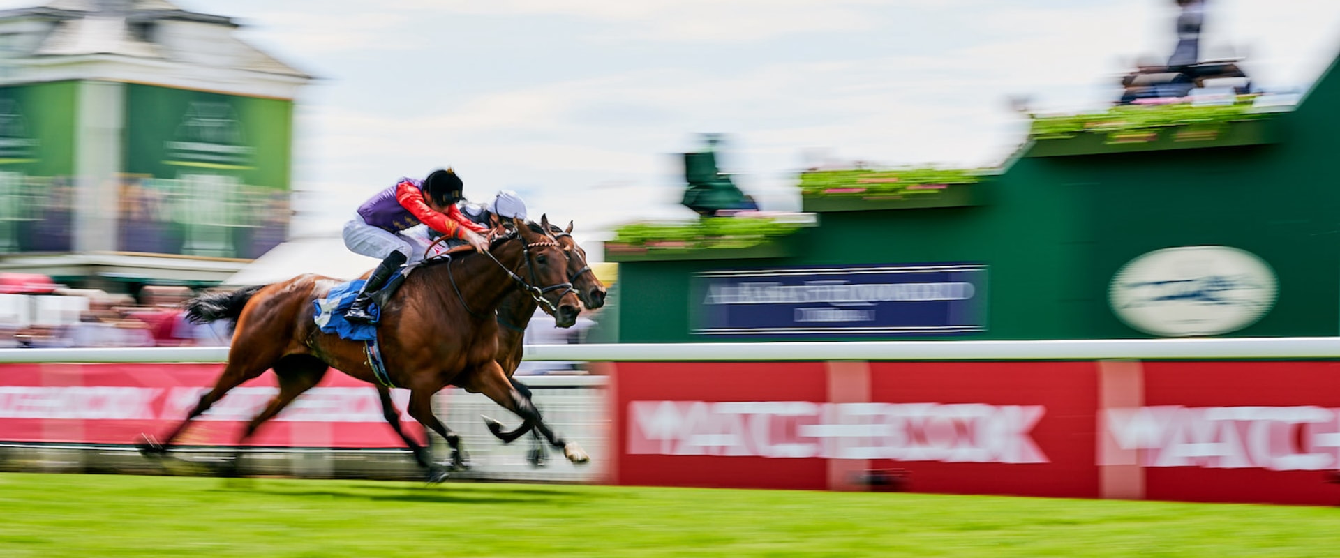 Identifying Profitable Race Tracks for Your Betting Strategy