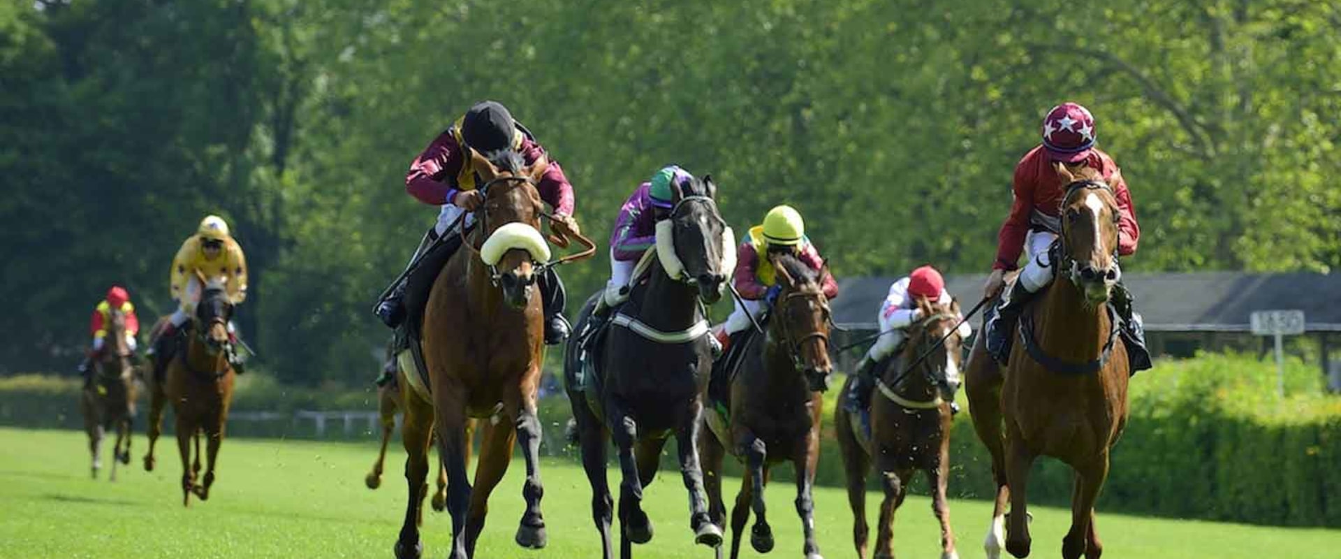 Using Speed Figures to Evaluate Horses: Improve Your Betting Strategy