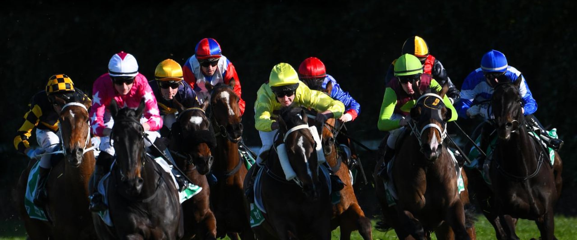 Using Historical Data to Identify Profitable Races