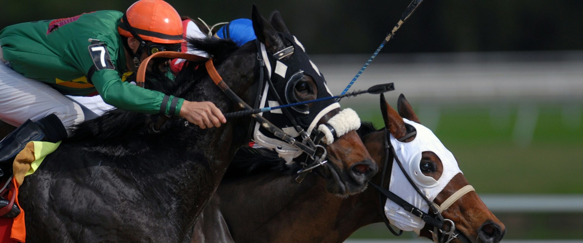 Evaluating the Accuracy and Effectiveness of Your Model: Strategies for Winning in UK Horse Racing