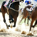 Creating and Implementing Automated Betting Strategies for UK Horse Racing