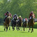 Creating Your Own Betting System - How to Improve Your Chances of Winning on UK Horse Racing