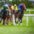 Analyzing Race Results: Insights and Strategies for UK Horse Racing
