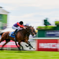 Identifying Profitable Race Tracks for Your Betting Strategy