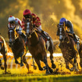 Navigating Race Track Betting Rules and Regulations: A Comprehensive Guide
