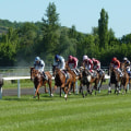 Managing Your Bankroll for Long-Term Success in Horse Racing Betting