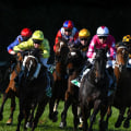 Using Historical Data to Identify Profitable Races