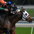 Understanding and Choosing Between Different Types of Horse Racing Bets