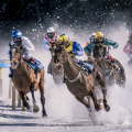 The Kelly Criterion Method for Betting on Horses