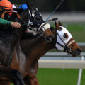 Evaluating the Accuracy and Effectiveness of Your Model: Strategies for Winning in UK Horse Racing