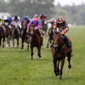 A Comprehensive Guide to Common Handicapping Methods and Techniques for UK Horse Racing