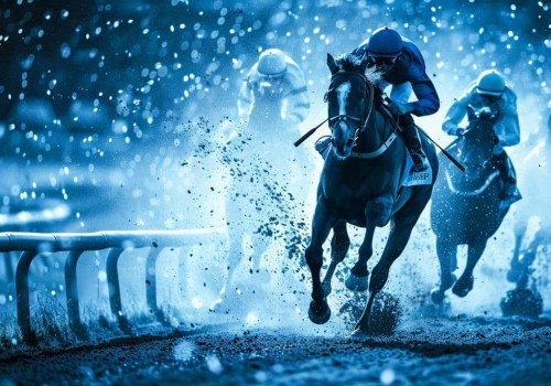 How to Choose the Best Races to Bet On