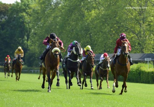 Using Speed Figures to Evaluate Horses: Improve Your Betting Strategy