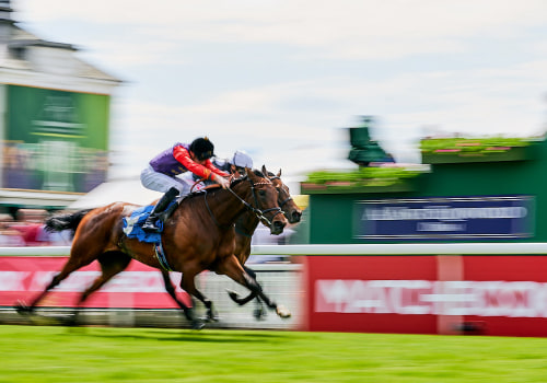 A Winning Guide to Horse Racing Betting Strategies