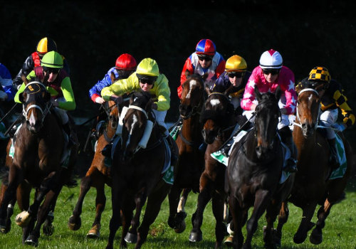Using Historical Data to Identify Profitable Races