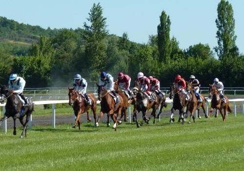 Managing Your Bankroll for Long-Term Success: Strategies for UK Horse Racing