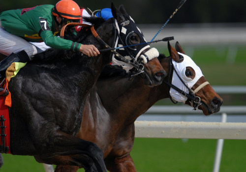 Evaluating the Accuracy and Effectiveness of Your Model: Strategies for Winning in UK Horse Racing